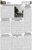 DT_Page_3