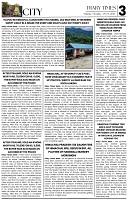 DT_Page_3